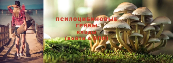 героин Инсар